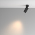 rr4.jpeg