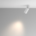 AA4.jpeg