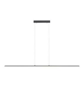 Lampa wisząca PURE-LITE 8377-13 oprawa w kolorze antracytowym PAUL NEUHAUS