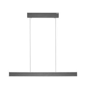 Lampa wisząca PURE E-MOTION 2570-15 oprawa w kolorze szarym + pilot PAUL NEUHAUS