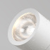 bb4.jpeg