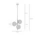 FMZ5