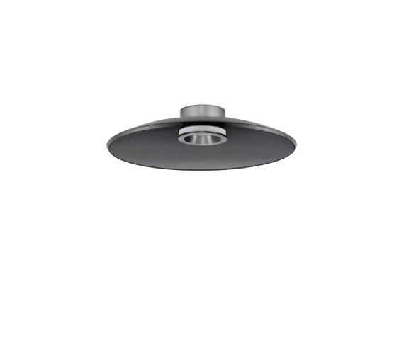 Lampa sufitowa HUANUCO LE44836 oprawa w kolorze srebrnym z dymionym kloszem LUCES EXCLUSIVAS