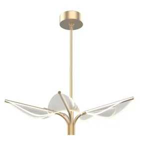 Lampa wisząca FLORIANA QN-FLORIANA-P-S-NBR oprawa w kolorze mosiądzu QUINTIESSE