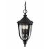 Lampa wisząca zewnętrzna English Bridle FE/EB8/M BLK Feiss dekoracyjna oprawa w kolorze czarnym