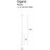 Lampa wisząca Organic P0172 Maxlight pojedyncza wisząca tuba w kolorze chromu