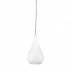 Lampa wisząca Naomi P1305-01S-F4AB oprawa w kolorze srebrnym ze szklanym kloszem ZUMA LINE