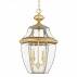 Lampa wisząca Newbury QZ/NEWBURY8/L Quoizel zewnętrzna oprawa w kolorze mosiądzu