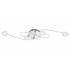 Lampa sufitowa Circolare 3496-048 Artemodo