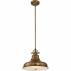 Lampa wisząca Emery QZ/EMERY/P/M WS  Quoizel pojedyncza oprawa w kolorze mosiądzu