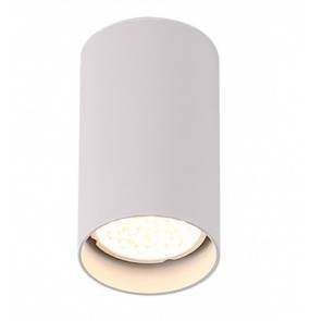 Lampa natynkowa Pet Round New C0141 Maxlight biała oprawa sufitowa 