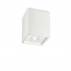 Plafon Oak Square PL1 Ideal Lux