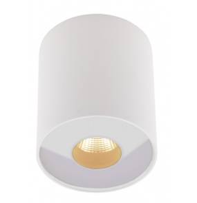Zewnętrzna lampa natynkowa Plazma IP54 C0152 Maxlight biała oprawa sufitowa w nowoczesnym stylu