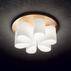 plafon daisy 247779 ideallux1