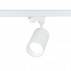 Reflektor LED 1-fazowy na szynoprzewód RS1W-30CCT Vision 30W biały z przełącznikiem barwy światła BLAUPUNKT