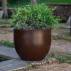 Doniczka ogrodowa AZALEA 50 New Garden 2