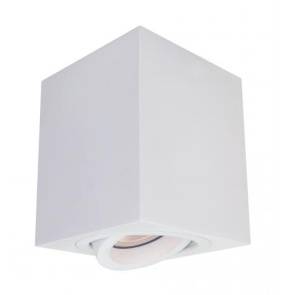 Lyon 1 LP-5881/1SM WH oprawa natynkowa biala Light Prestige