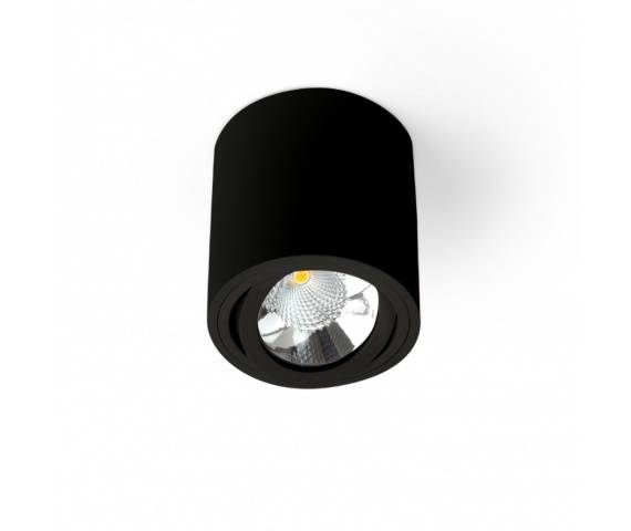 Plafon Sasari RO duży nowoczesna oprawa natynkowa w dwóch kolorach ze ściemnianiem światła LOONARI