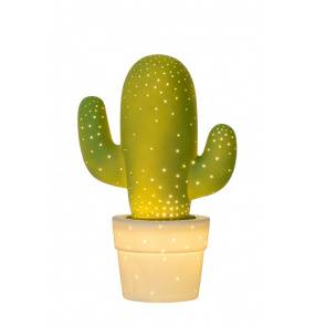 CACTUS 13513/01/33