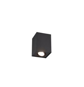 Lampa natynkowa BISCUIT 613000132 oprawa w kolorze czarnym TRIO