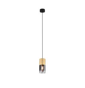 Lampa wisząca ROBIN 310600154 oprawa w kolorze czarnym TRIO