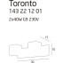 Toronto1.jpeg