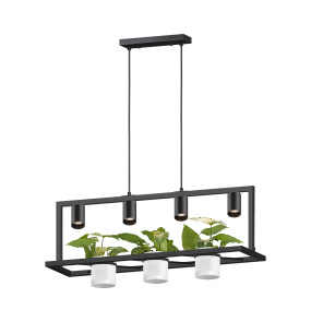 Lampa wisząca PLANTER P0536-04B-P7AB oprawa w kolorze czarnym ZUMA LINE