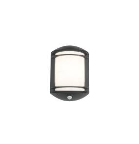 QUARTZ SENSOR