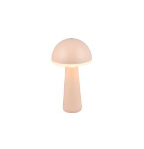 Dekoracyjna lampa zewnętrzna FUNGO R57716166 oprawa w kolorze różowym RL