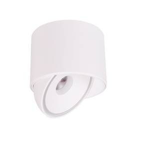 Oprawa natynkowa VECTOR C0265 oprawa w kolorze białym MAXLIGHT