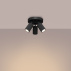 C2