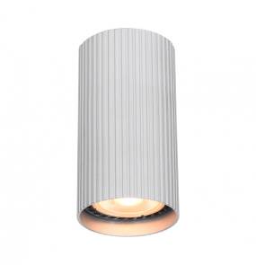 Oprawa natynkowa Rilok CLN-83920-S-ALU w kolorze aluminium ITALUX