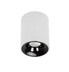Oprawa natynkowa TOMA LP-4848/1RM WH LED CCT oprawa w kolorze białym Light Prestige