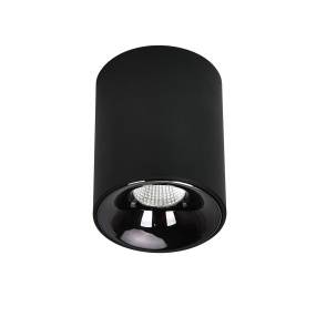 Oprawa natynkowa TOMA LP-4848/1RM BK CCT oprawa w kolorze czarnym Light Prestige