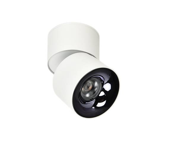 Ruchoma oprawa natynkowa Brema biała LED CCT