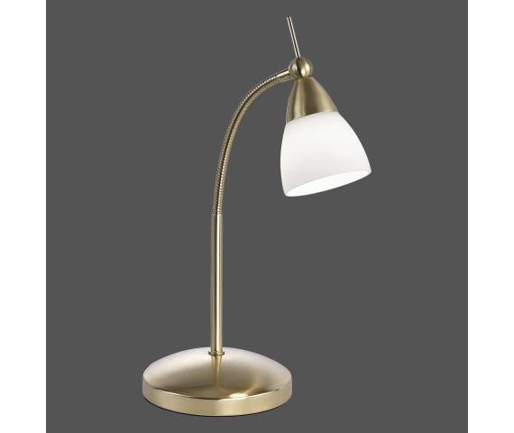 Lampa stołowa PINO 4001-60 oprawa mosiężna ZUMA LINE by Paul Neuhaus