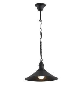 Lampa wisząca ERBA 631 oprawa w kolorze czarnym ARGON