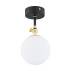 Lampa sufitowa LATINA 4003 oprawa w kolorze czerni i złota ARGON