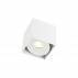 cardi l small bianco 2