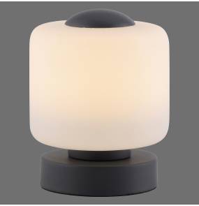 Lampa stołowa BOTA 4037-13 oprawa w kolorze antracytu ZUMA LINE by Paul Neuhaus