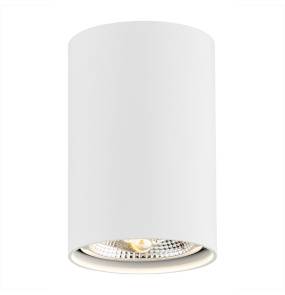 Oprawa natynkowa TUBO 4910 BZ w kolorze białym ARGON