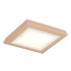 Plafon TABOR 7267 oprawa w kolorze brzoskwiniowym ARGON