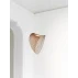 Illan1