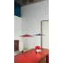 konie2