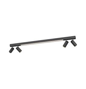Lampa sufitowa PURE-LINES 6121-13 oprawa w kolorze antracytowym PAUL NEUHAUS
