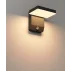 le2