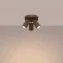 b2